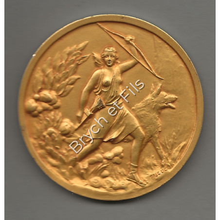 MONACO MEDAILLE SOCIETE CANINE PAR FALCUCCI EN BRONZE