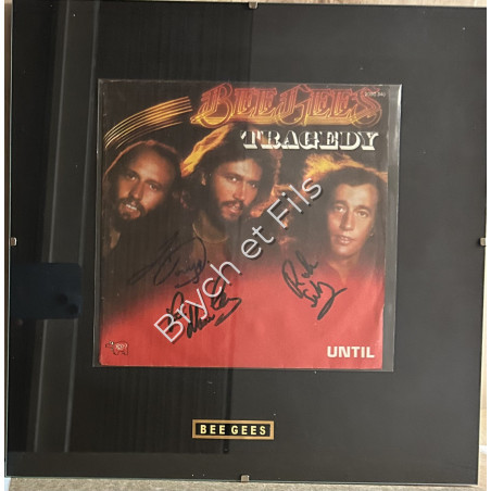 Record Cover TINA TURNER autographed