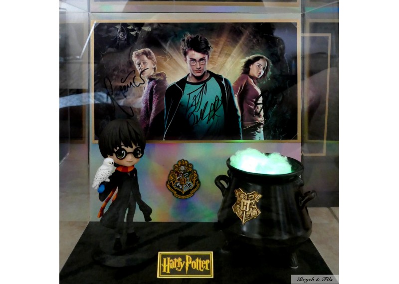 "HARRY POTTER" 1 photo dédicacée avec statuette et chaudron