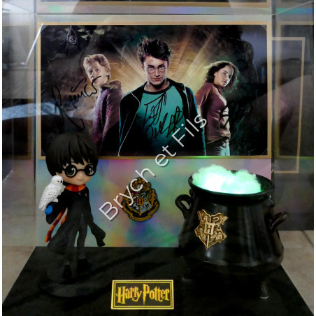 "HARRY POTTER" 1 photo dédicacée avec statuette et chaudron