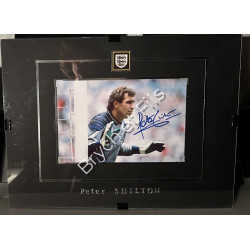 PETER SHILTON