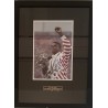 CARL LEWIS 1992
