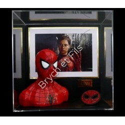 SPIDER MAN