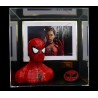 SPIDER MAN