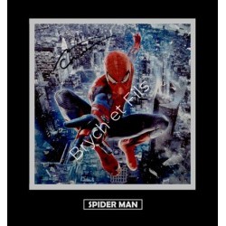 SPIDER MAN