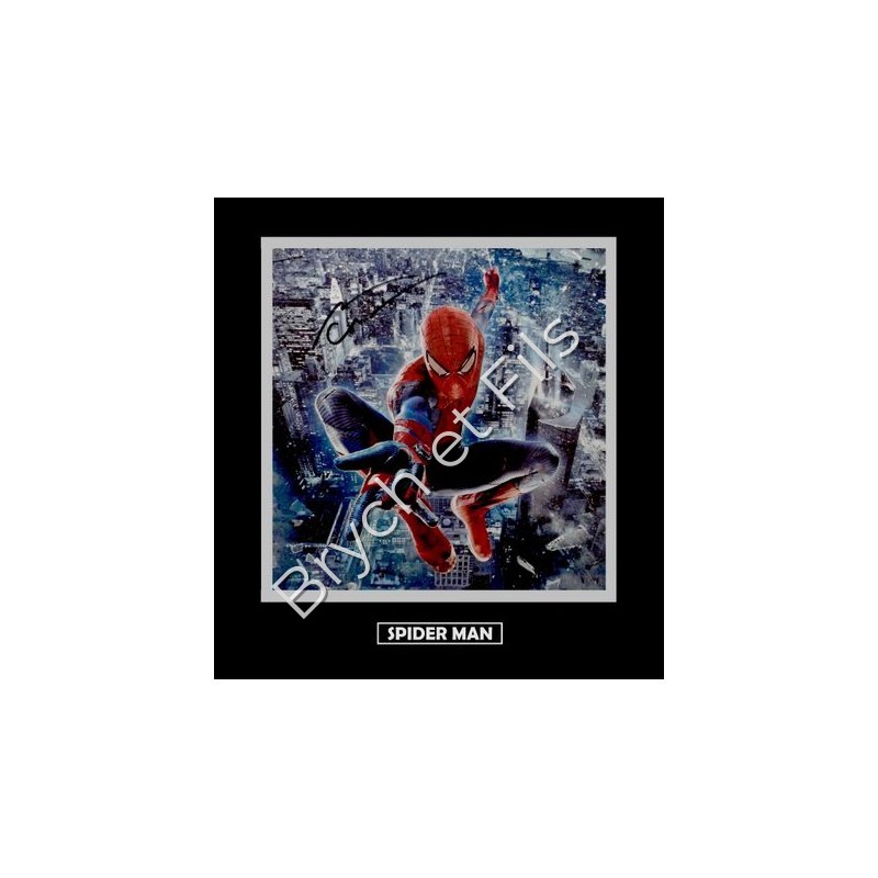 SPIDER MAN